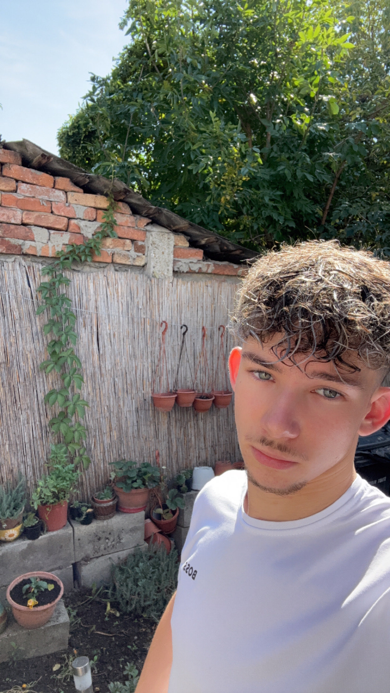 Pigniczki Vendel profilkép, vpig Twitch streamer, vpiglul